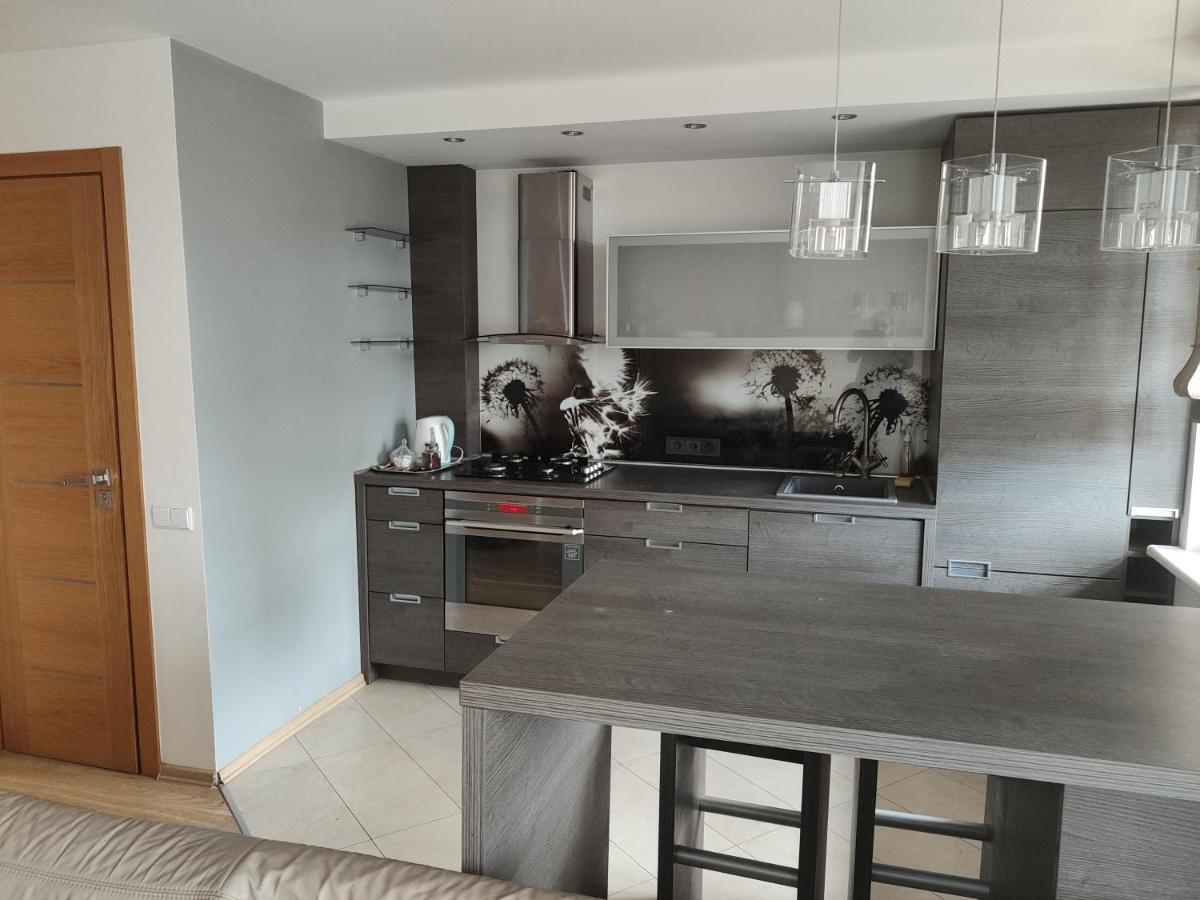 Nikoletos Apartamentai Паневежис Екстер'єр фото